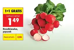Biedronka Rzodkiewka, pęczek oferta