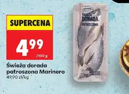 Biedronka Swieża dorada patroszona Marinero oferta