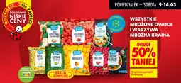Biedronka Mrożone owoce i warzywa mroźna kraina oferta