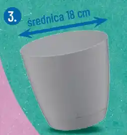 Polomarket Doniczka Begonia Galicja oferta