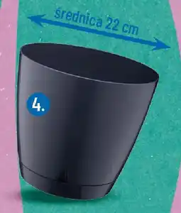 Polomarket Doniczka Begonia Galicja oferta