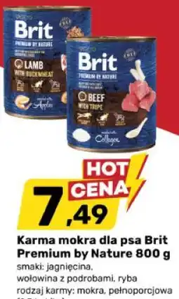 Bricomarche Karma mokra dla psa Brit Premium by Nature oferta