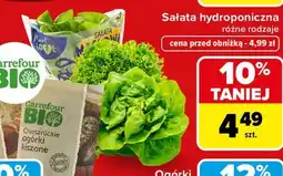 Carrefour Sałata hydroponiczna batawska Plant Love oferta
