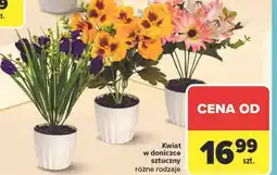 Carrefour Kwiat sztuczny w doniczce oferta