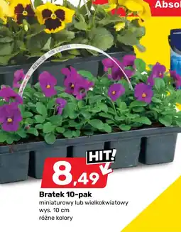 Bricomarche Bratek oferta