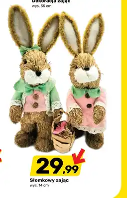 Bricomarche Dekoracja oferta