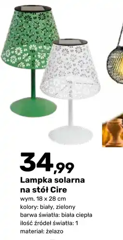 Bricomarche Lampka solarna Barwa oferta