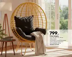 Bricomarche Fotel oferta