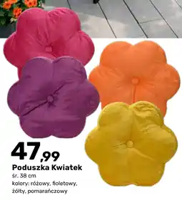 Bricomarche Poduszka oferta