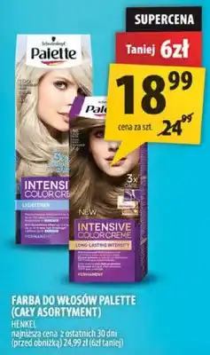 Arhelan Farba do włosów Palette oferta