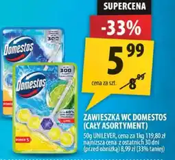 Arhelan Zawieszka WC Domestos oferta