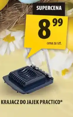 Arhelan Krajacz do jajek practico+ oferta