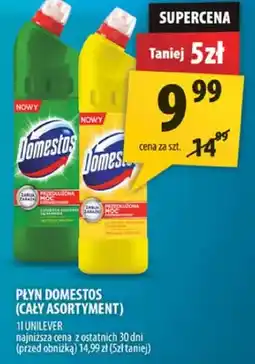 Arhelan Płyn Domestos oferta