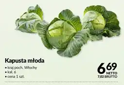 Makro Kapusta młoda oferta