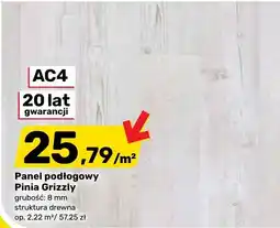 Bricomarche Panel podłogowy Pinia Grizzly oferta