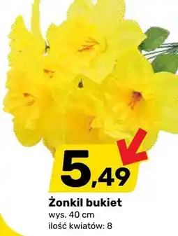 Bricomarche Żonkil bukiet oferta