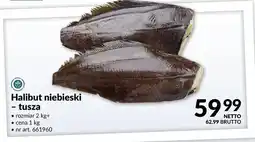 Makro Halibut niebieski - tusza oferta