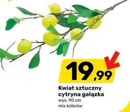 Bricomarche Kwiat sztuczny cytryna gałązka mix kolorów oferta