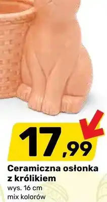Bricomarche Ceramiczna osłonka z królikiem oferta