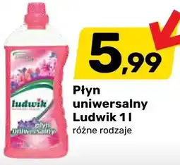 Bricomarche Płyn uniwersalny różne rodzaje oferta