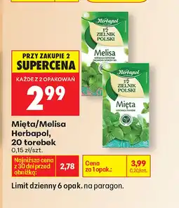 Biedronka Herbata ziołowa Herbapol oferta