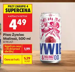Biedronka Piwo Żywiec oferta