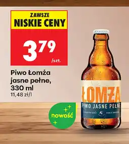 Biedronka Piwo Łomża oferta