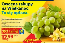 Lidl Winogrona Plus-Plus oferta