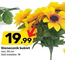 Bricomarche Słonecznik bukiet oferta