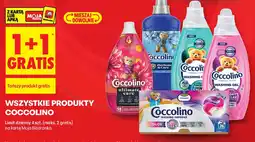 Biedronka Coccolino produkty oferta