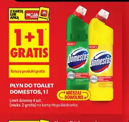 Biedronka Domestos płyn do toalet oferta