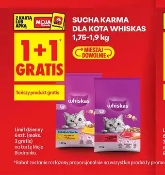Biedronka Sucha karma dla kota Whiskas oferta