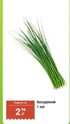 Biedronka Szczypiorek oferta