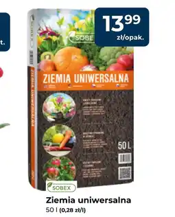 Mrówka Ziemia uniwersalna Sobex oferta