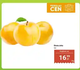 Biedronka Śliwka żółta luz oferta