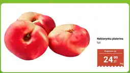 Biedronka Nektarynka platerina luz oferta