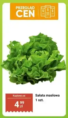 Biedronka Sałata masłowa 1 szt oferta