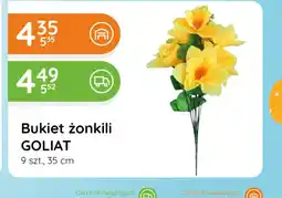 Eurocash Cash & Carry Bukiet Goliat oferta