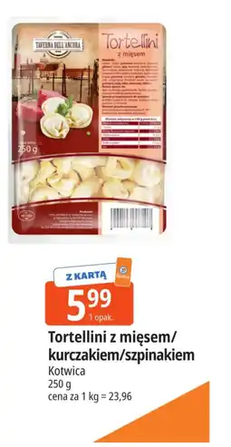 E.Leclerc Tortellini Kotwica oferta