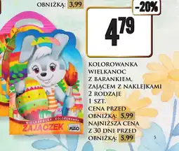 Dino Kolorowanka oferta