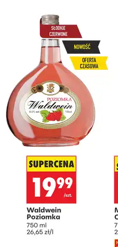Biedronka Wino oferta