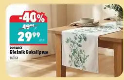 Biedronka Bieżnik Domarex oferta