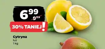 Netto Cytryna oferta