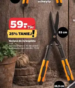 Netto Nożyce do żywołpłotu Black+Decker oferta