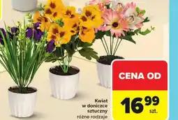 Carrefour Kwiat sztuczny oferta