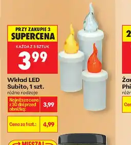 Biedronka Wkład LED Subito oferta