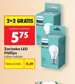 Biedronka Zarówka LED Philips oferta