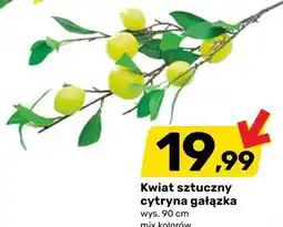 Bricomarche Kwiat sztuczny cytryna gałązka oferta