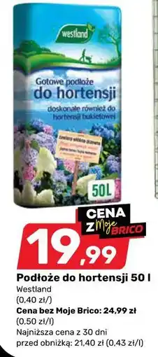Bricomarche Podłoże do hortensji oferta