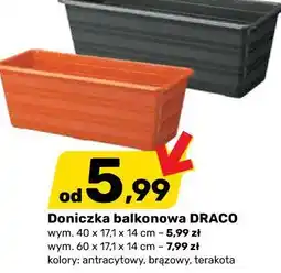 Bricomarche Doniczka balkonowa DRACO oferta